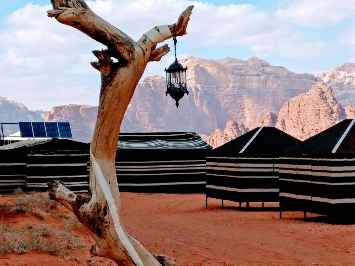Desert Tree Camp&Tours Wadi Rum Exterior foto